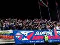 video Slovenija Supporters