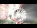 My test of FX\