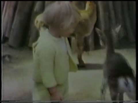 mstatz - A beautiful classic Joe Raposo song that was yanked. I remember watching this in the early 70's after I got home from kindergarten. The part that stuck out i...