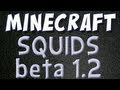 Minecraft - Squids! (1.2 Beta Update Part 1)