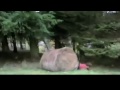 Best of FAILS 2010 Compilation Part 3
