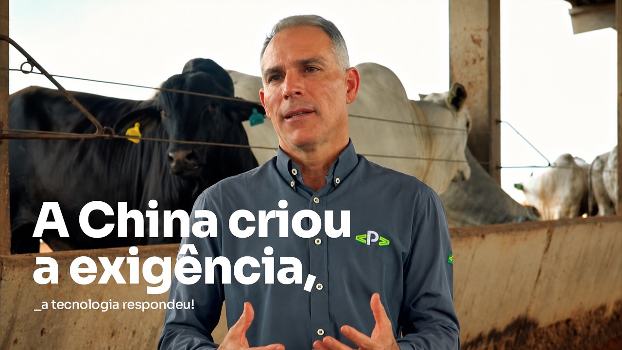 A China criou a exigência, a tecnologia respondeu