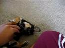 Baby Lexi Playing with Toys