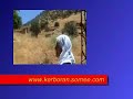 kerboran darge�it