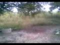 videos de Teletransportacion real J.A