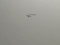 EP Rc Airplane Towing ribbon