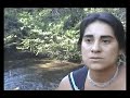 Mapuches de Neuquen: Entre petróleo y pinos
