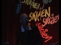 great u.k. blues band. videorecorded at skraaen in aalborg, denmark. oktober 2007.
