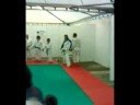 Kyu Shin Do Kai di fidenza