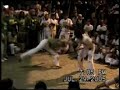 professor-formiga.html