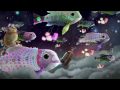 Guarda video