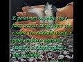 Sopra Espirito