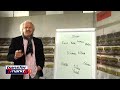 dragoslav stepanovic biography dragoslav stepanovic biography