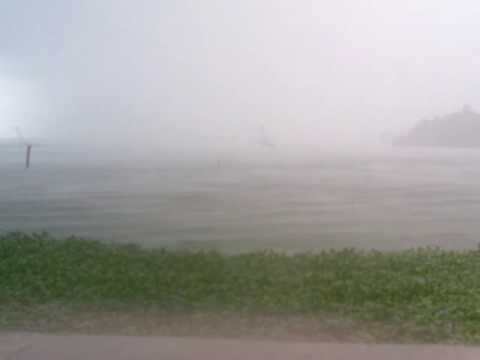 Back water at Cochin