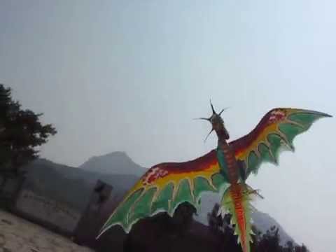 Prehistoric Dragon