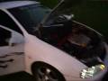 videos de tigra video.wmv