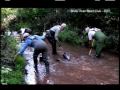 It's Your Environment - Allan Pribnow