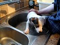 Bath time