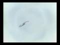 videos de Naruto - The night Kakashi went crazy
