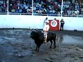FINAL DE JARIPEO EN EL RODEO DE CIUDAD GUZMAN JALISCO