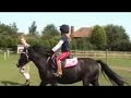 6 yrs 6 mths 12.2 hh Black Welsh Sec B - Derbyshire