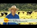 Cash cows (episode 4)