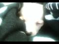 Mighty Morphin Power Dogs (MMPD) Mighty Morphin Power Dogs (MMPD)