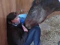 [L&D] Did You Ever Know, That You're My Hero?