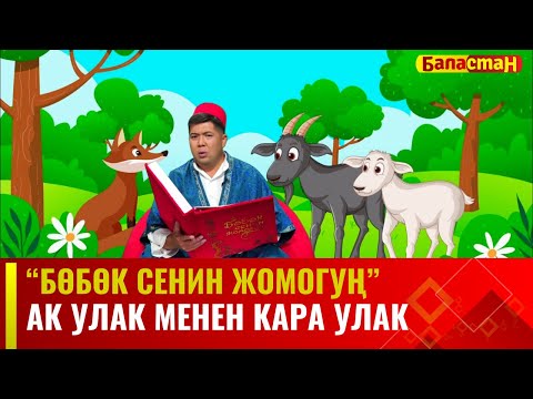 Ак улак менен кара улак | БӨБӨК СЕНИН ЖОМОГУҢ | 13.11.2023