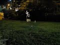 chihuahua turning on ugly statue