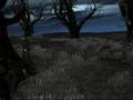 Project Sigur Rós - Ára bátur