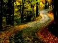 videos de ELTON JOHN - SORRY SEEMS TO BE THE HARDEST WORD
