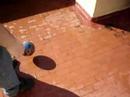 Sonny divertimento con palla 3^parte Sonny divertimento con palla 3^parte