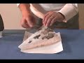 Chinese Brush Painting Basic Lesson 1:3 Chinese Brush Painting Basic Lesson 1:3