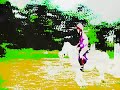 Purple Show Team Ponies =D Purple Show Team Ponies =D
