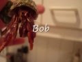 videos de Bath time!