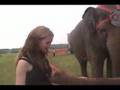 Elephant Grrl - Close up with elephant