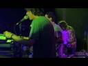 animal collective taste