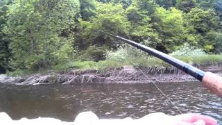 SalmondienJagd an der Our - Teil 1