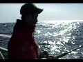 Å miste drømmefisken er ikke morsomt, men her fikk jeg akkurat startet kameraet da fisken slapp. Sannsynligvis en pen Håkjerring. Reaksjonen kom iallefall umiddelbart :-)