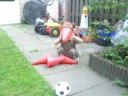 Feye in de tuin