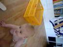 kleine pluis en looprek