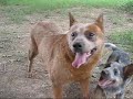 Fun with Grandma