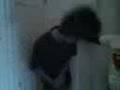 head bang gang bang