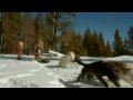 videos de Call of the Wild 3D trailer 2009