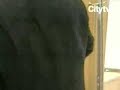 Édgar Paz fue detenido por agentes de la policía.