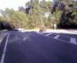 superduke