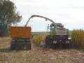 videos de ensilage de mais par RUWET