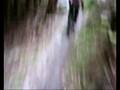 Brown Pants MTB - Machynlleth 2008 (Video 1)