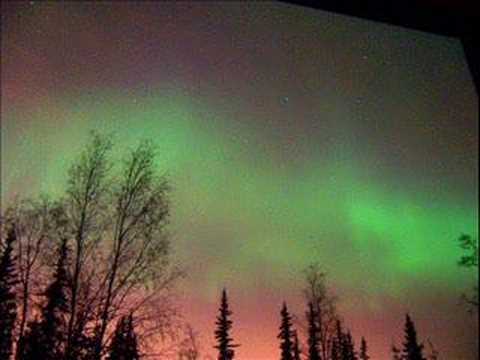 Arctic Odyssey
